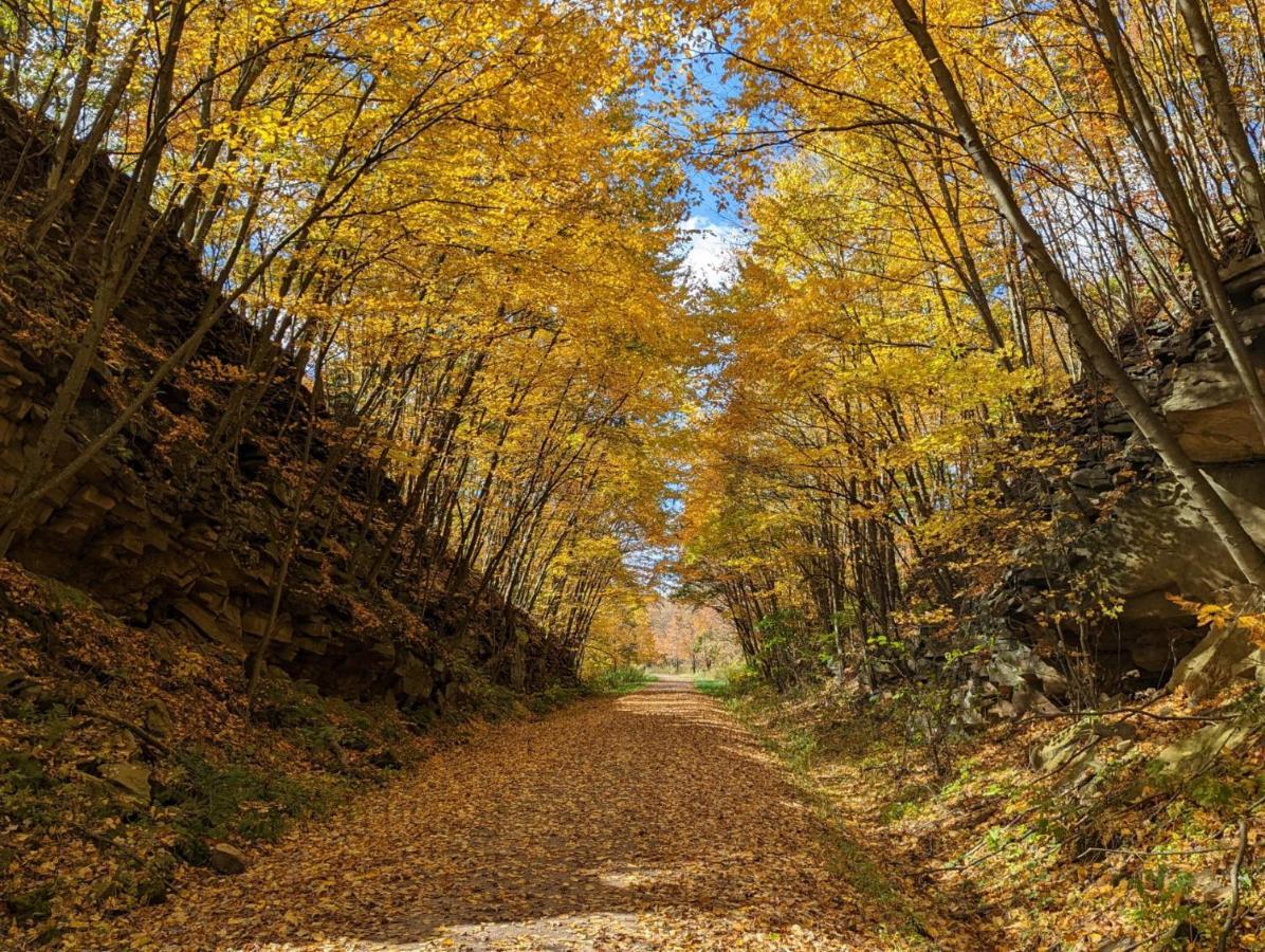 Stay In Ohiopyle In The Middle Of Town By The Gap Trail المظهر الخارجي الصورة